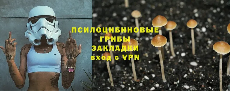 Псилоцибиновые грибы Magic Shrooms  Надым 